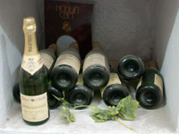 Завод шампанских вин «Новый Свет»